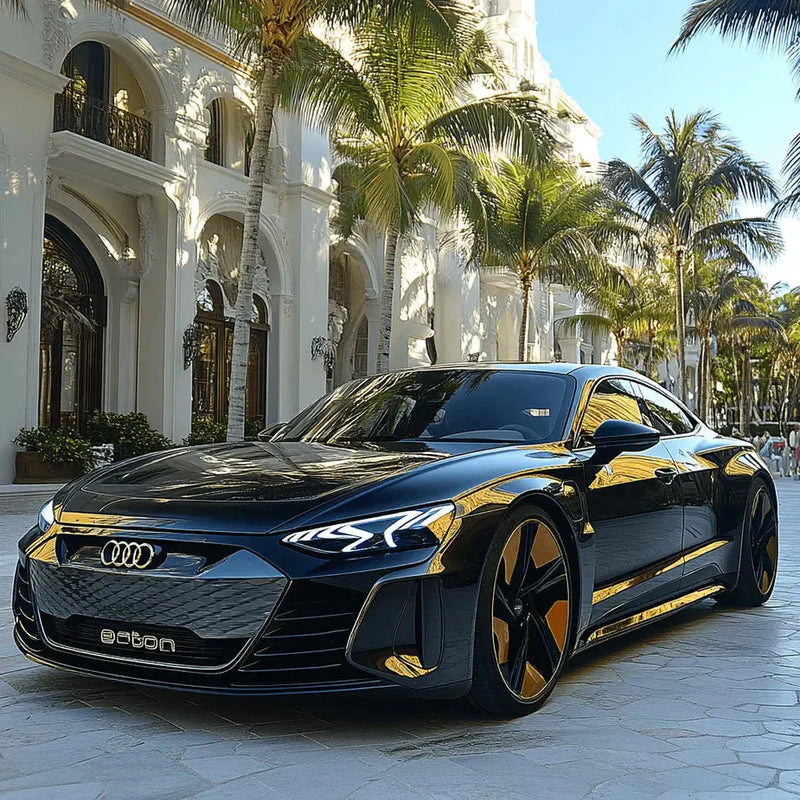 Audi RS e-tron GT 4-Door Sedan (2021-2024) Accessories