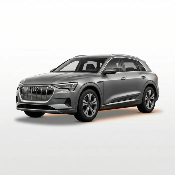 Audi e-tron Floor Mats Collection