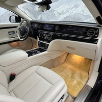 Tapis de voiture en peau de mouton médicale couleur